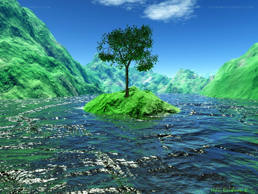 Tree on a small island