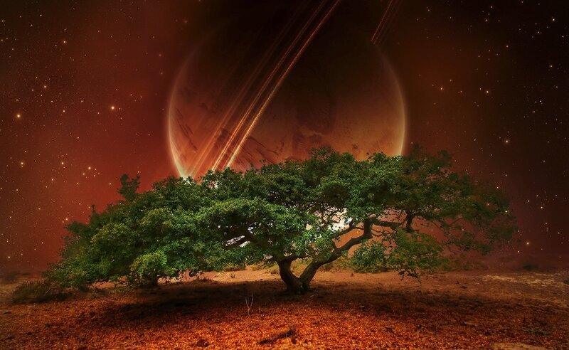 Tree on Alien Planet — Green