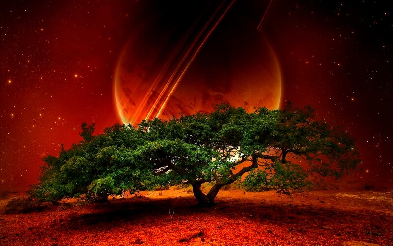 Tree on Alien Planet — Red, Dramatic