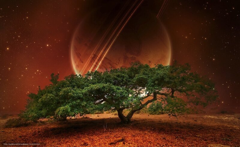 Tree on alien planet