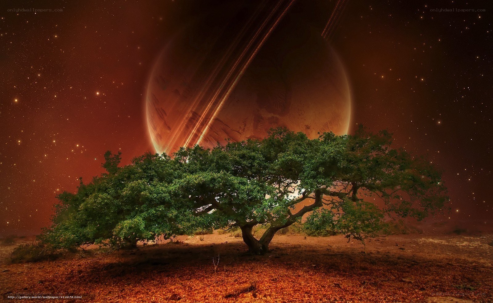 Tree on alien planet