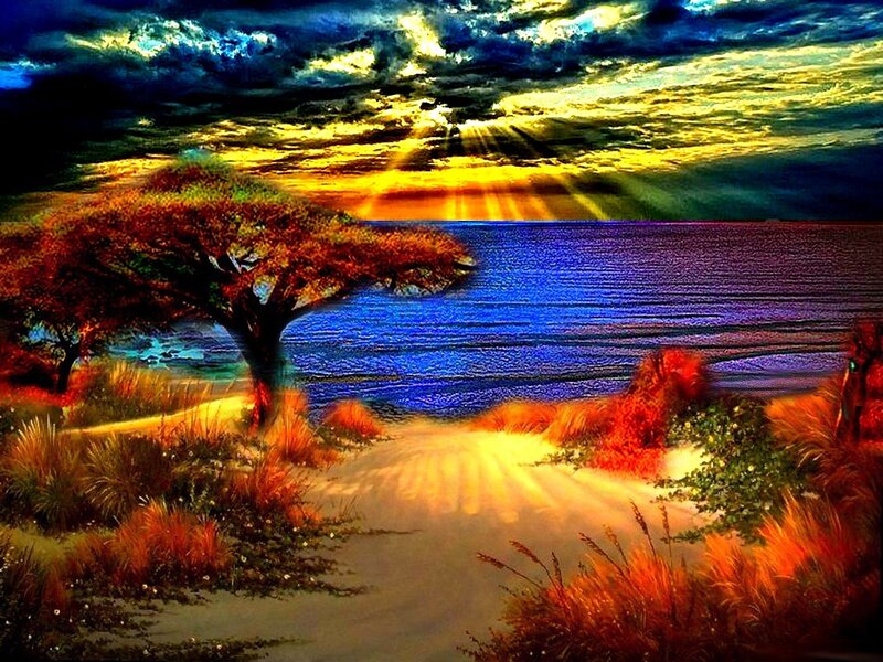 Tree on Beach at Sunset — Blue