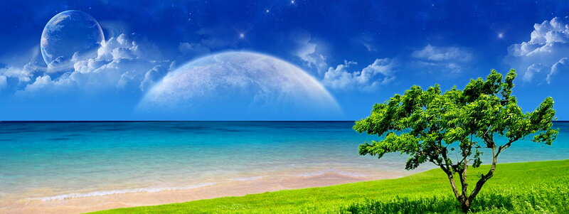 Tree on Beach — Blue
