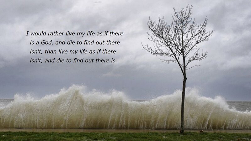 Tree on Beach — Gray