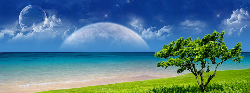 Tree on Beach with Planets