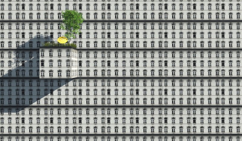 Tree on Building Rooftop