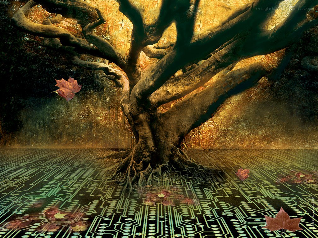 Tree on circuit board
