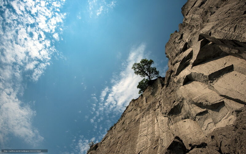 Tree on Cliff Edge — Blue, Dramatic