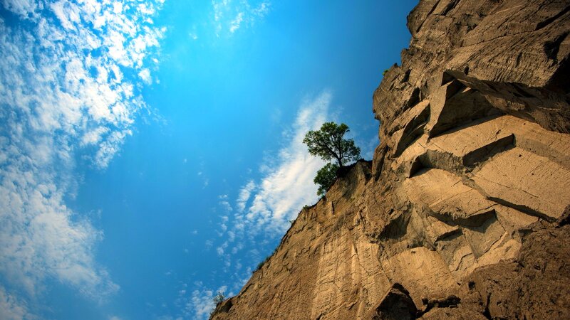 Tree on Cliff Edge — Blue