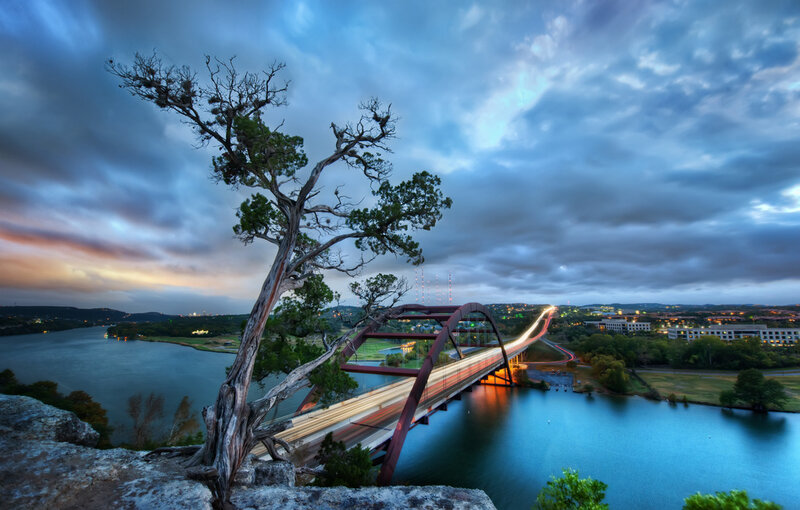 Tree on Cliff Overlooking Bridge