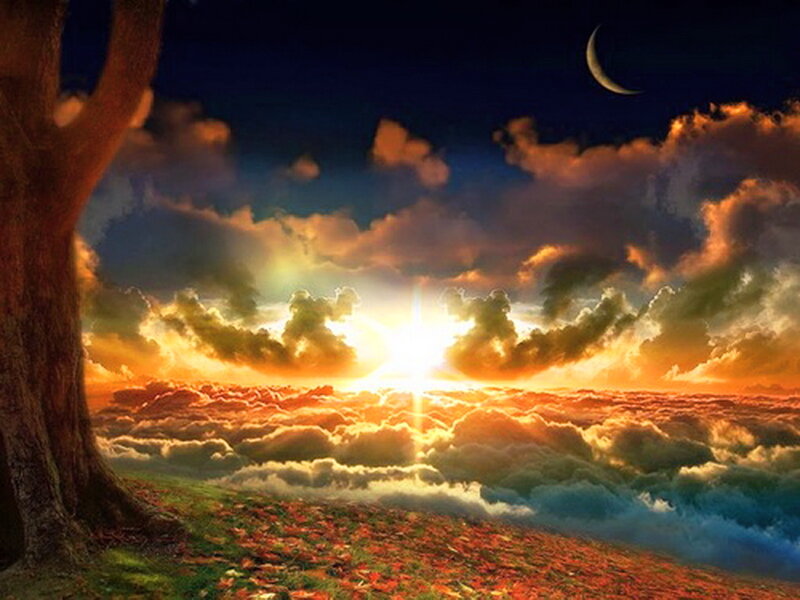 Tree on Cloud-covered Hill