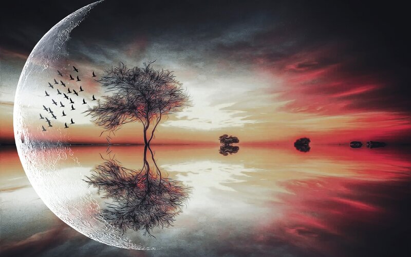 Tree on Crescent Moon