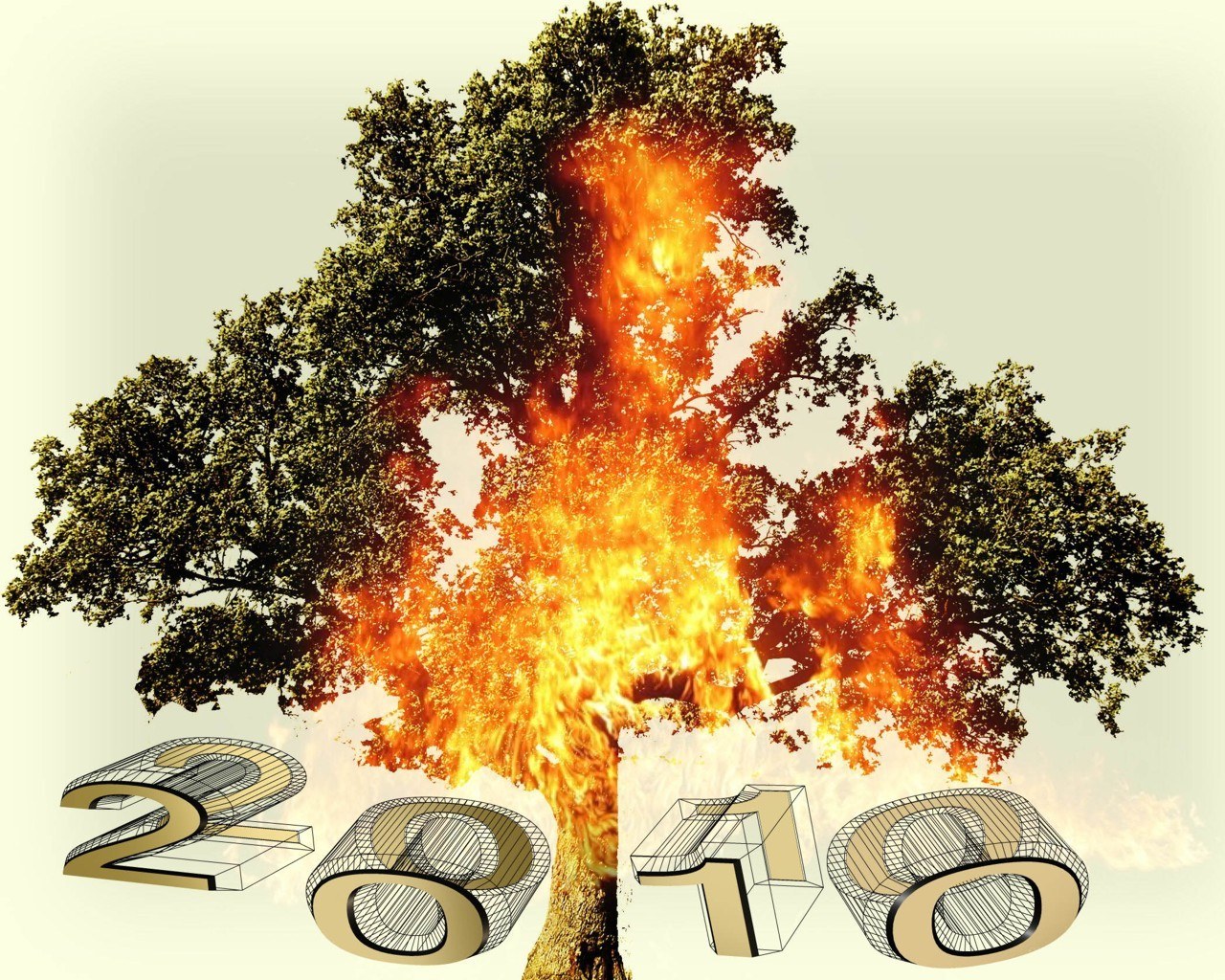 Tree on fire with 2010