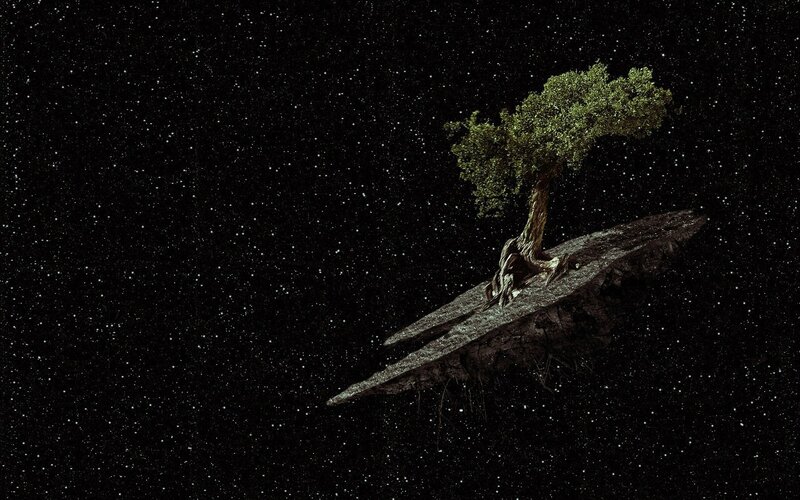 Tree on Floating Rock — Black
