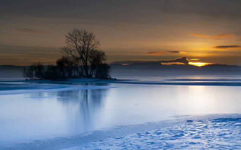 Tree on Frozen Island