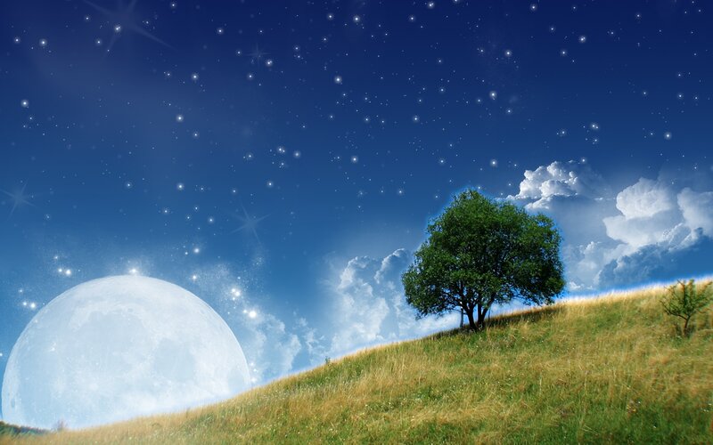Tree on Grassy Hill — Blue, Serene