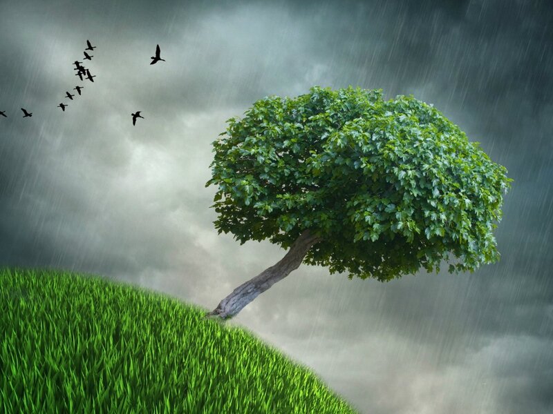 Tree on Grassy Hill — Green, Dramatic, Digital Art