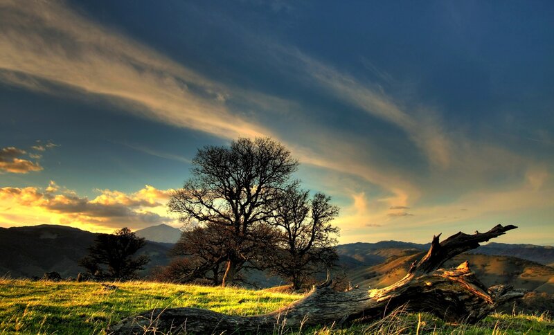 Tree on Grassy Hill — Green, Dramatic, Sunset, Photograph, Mountains, Clouds, Fallen Log, Blue, Yellow