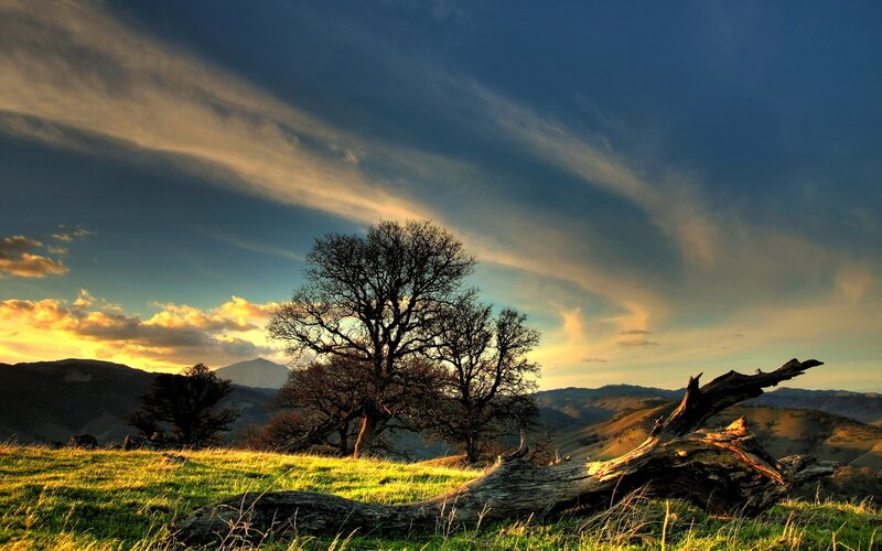 Tree on Grassy Hill — Green, Dramatic, Sunset, Photograph, Mountains, Clouds, Fallen Log