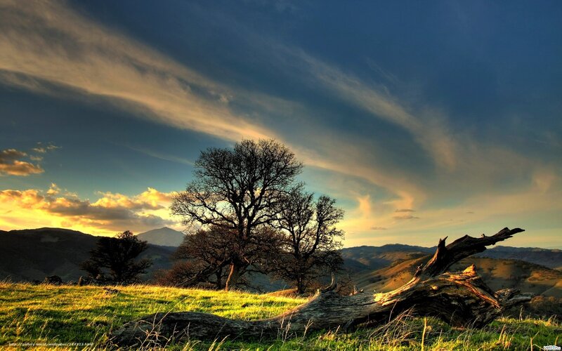 Tree on Grassy Hill — Green, Dramatic, Sunset, Photograph, Mountains, Clouds