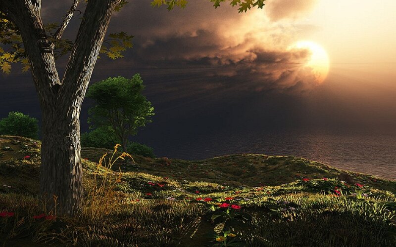 Tree on Grassy Hill — Green, Dramatic, Sunset