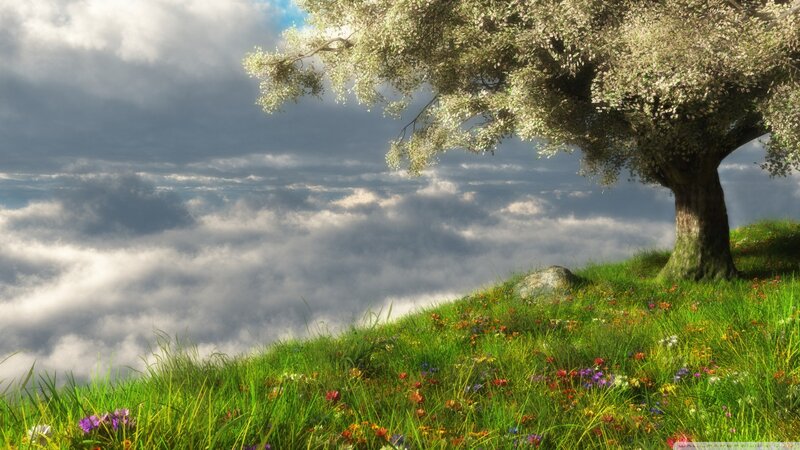 Tree on Grassy Hill — Green, Serene, Afternoon, Digital Art, Clouds