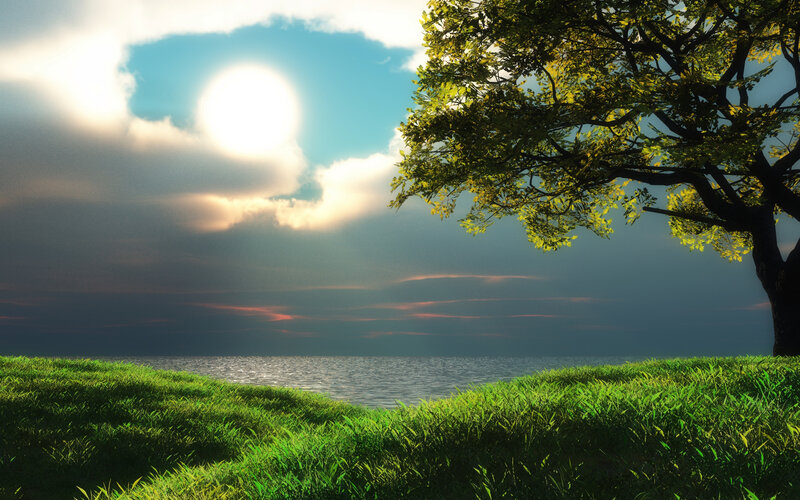 Tree on Grassy Hill — Green, Serene, Afternoon, Digital Art, Grass, Sea