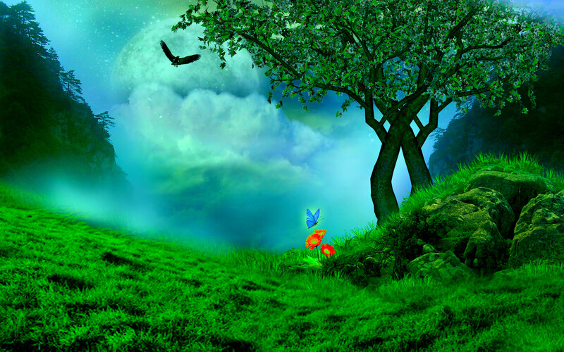 Tree on Grassy Hill — Green, Serene, Night