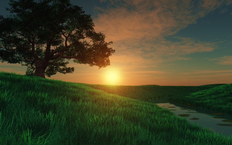 Tree on Grassy Hill — Green, Serene, Sunset, 3d Render