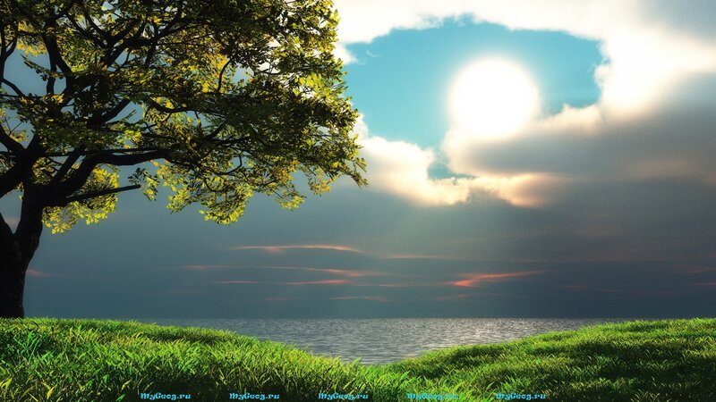Tree on Grassy Hill — Green, Serene, Sunset, Digital Art, Grass