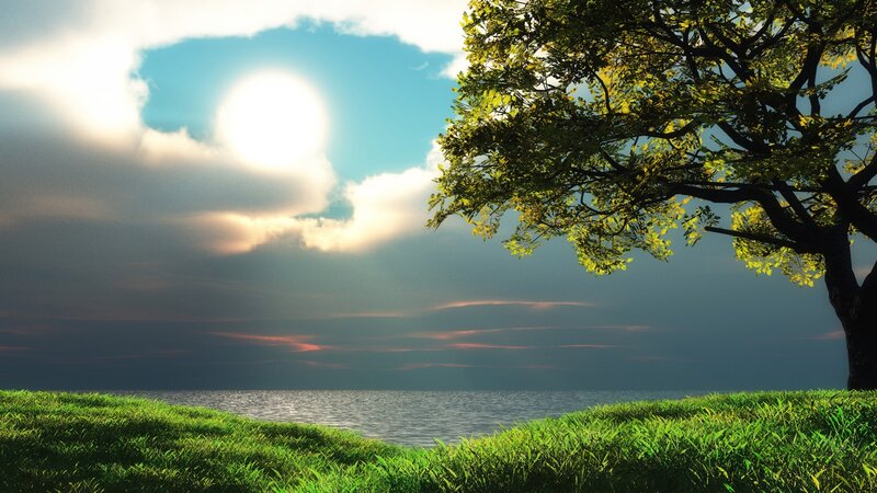 Tree on Grassy Shore — Green, Serene, Afternoon, Digital Art
