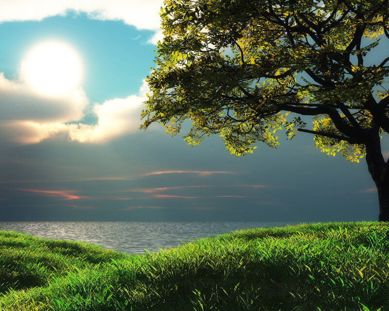 Tree on Grassy Shore — Green, Serene, Sunset, Digital Art