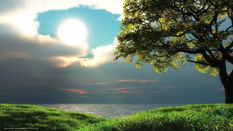 Tree on Grassy Shore — Green, Serene, Sunset