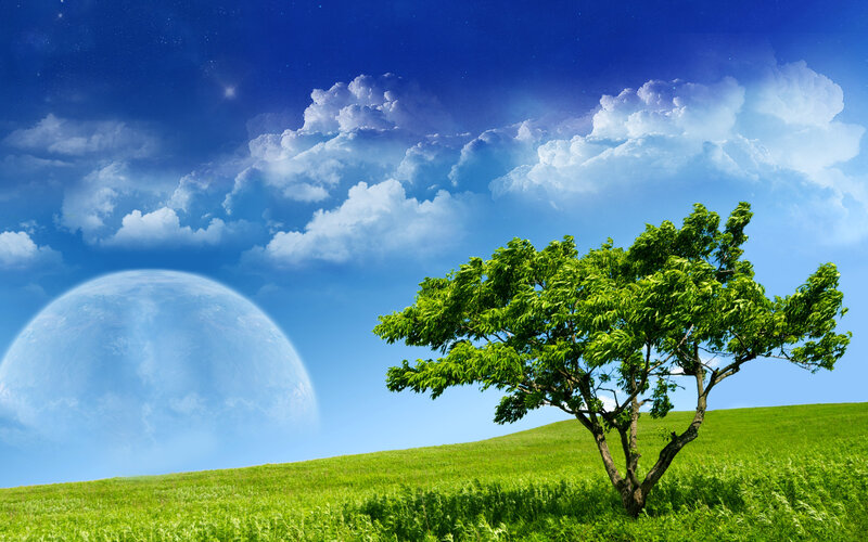 Tree on Green Hill — Serene, Night, Digital Art