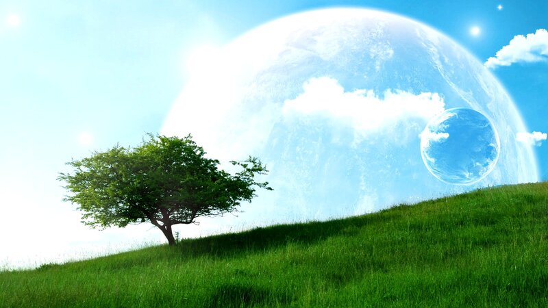 Tree on Green Hill