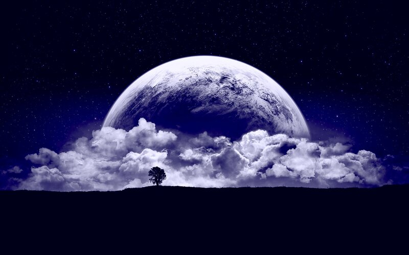 Tree on Hill under Planet