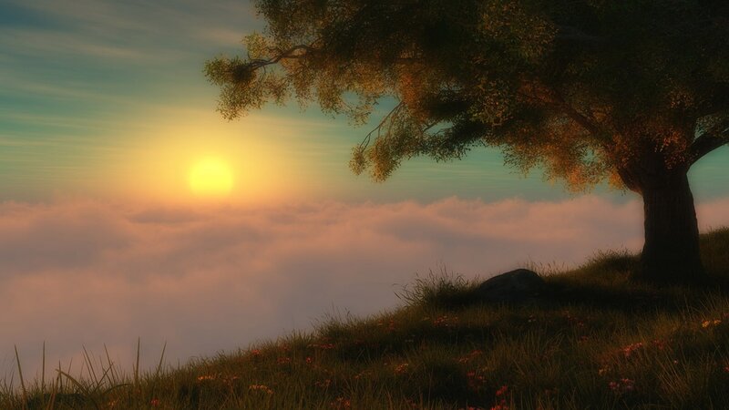 Tree on Hilltop at Sunrise — Green, Serene