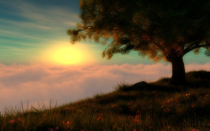 Tree on Hilltop at Sunrise — Green