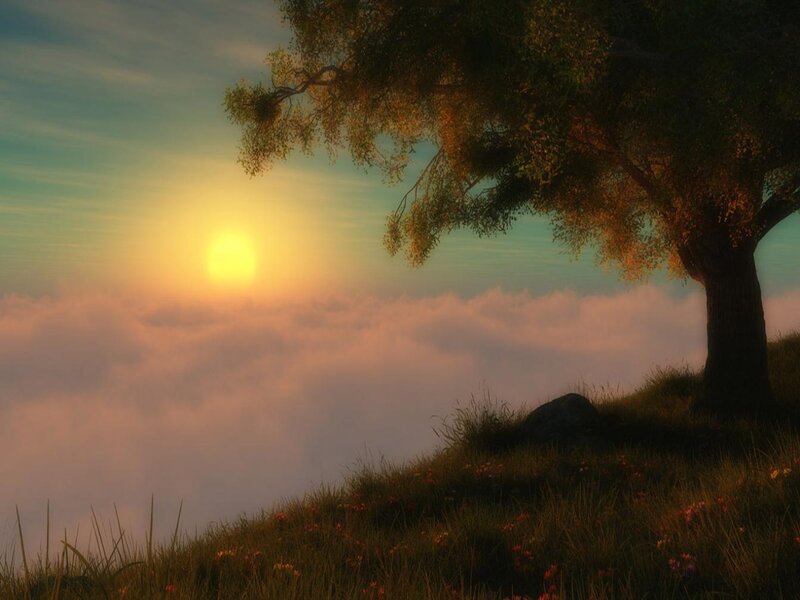 Tree on Hilltop — Green