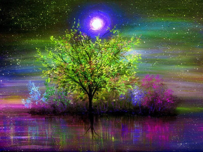 Tree on Island at Night — Green, Dreamy