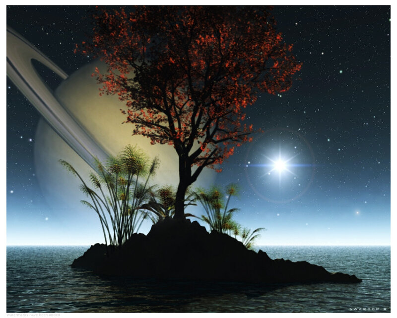 Tree on Island at Night