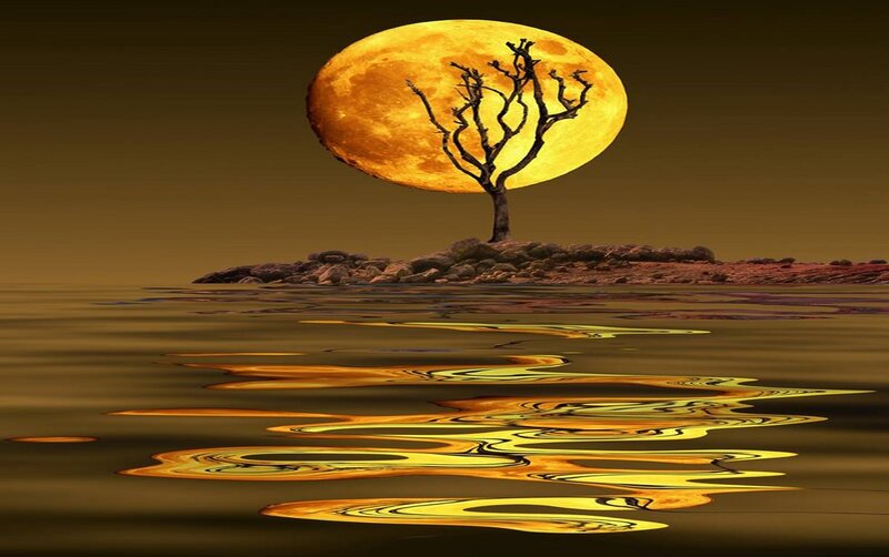 Tree on Island at Night — Yellow