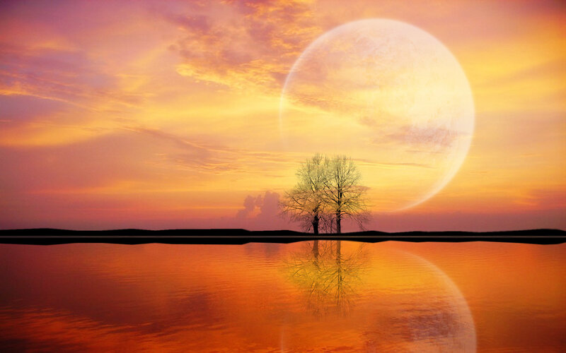 Tree on Island at Sunset