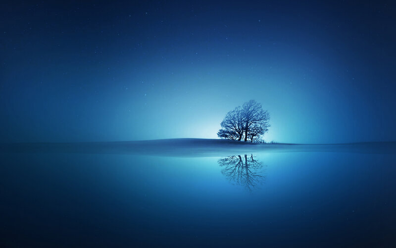 Tree on Island — Blue