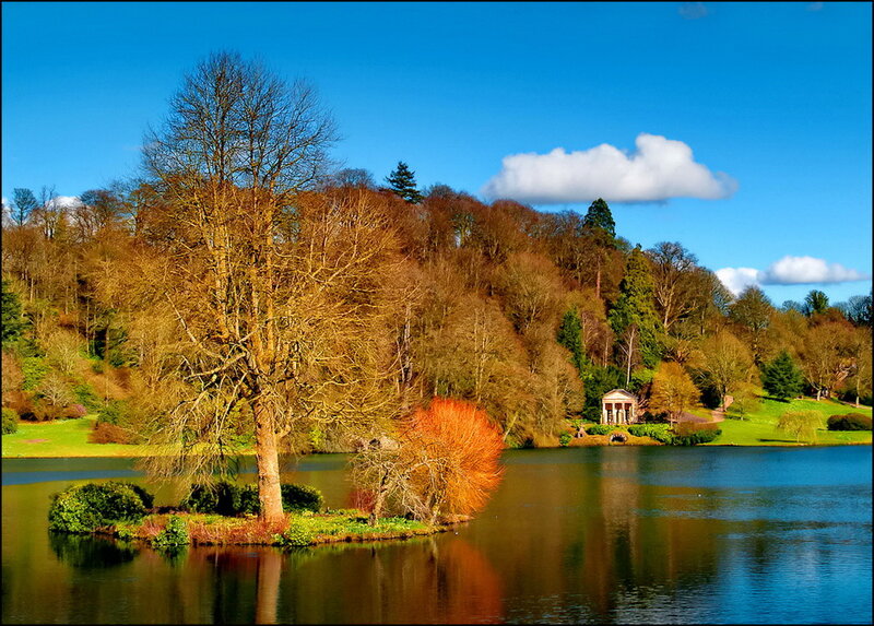 Tree on Island in Lake — Blue, Serene