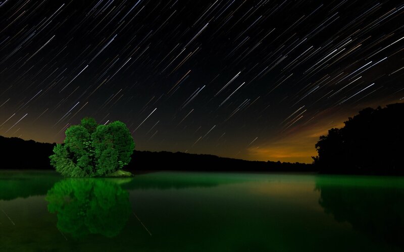 Tree on Island in Lake — Green, Serene, Night