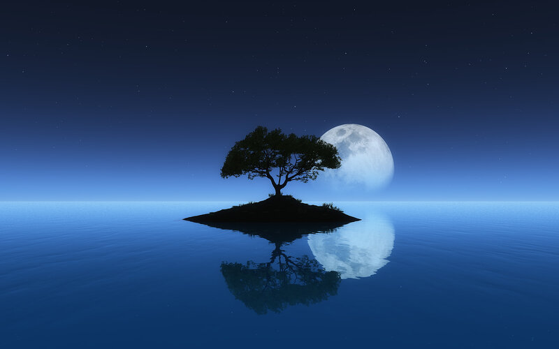 Tree on island under moon