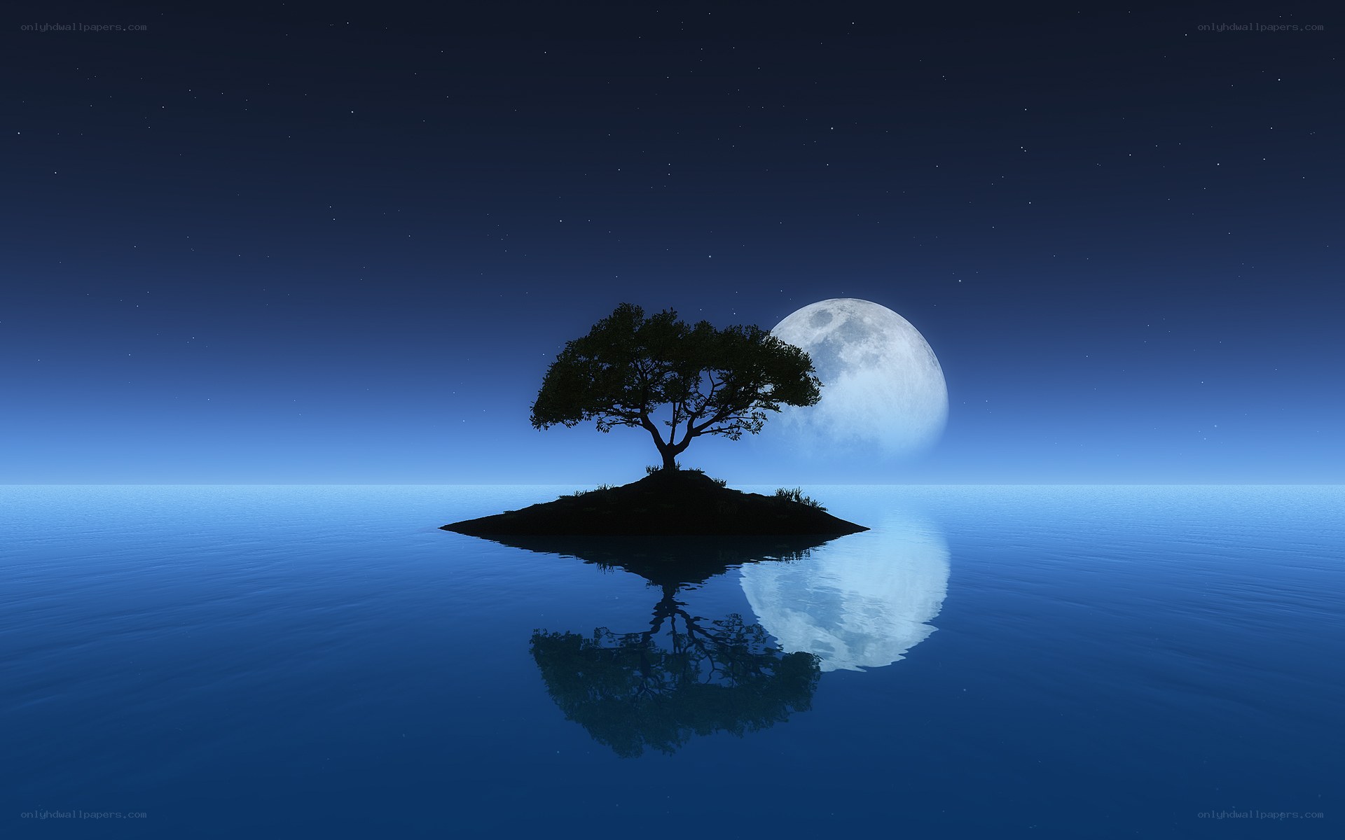 Tree on island under moon