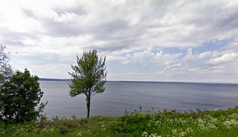 Tree on Lakeshore — Green, Calm