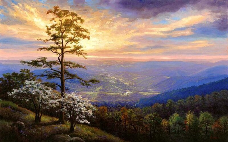 Tree on Mountain Overlook